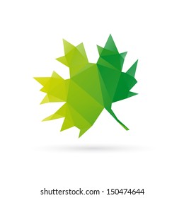 Leaf abstract isolated on a white backgrounds
