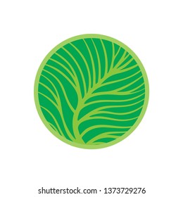 Leaf. Leaf abstract logo. Part of set.