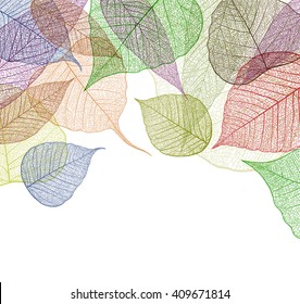 Leaf abstract skeleton background. Vector, EPS10.