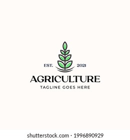 Plantilla de logotipo agrícola de hoja aislada en fondo blanco