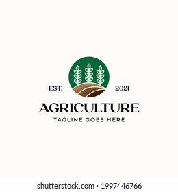 Plantilla de logotipo agrícola de hoja aislada en fondo blanco