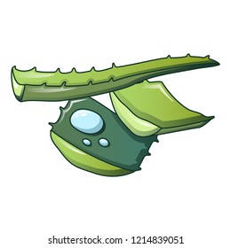 Leaf of aloe icon. Cartoon of leaf of aloe vector icon for web design isolated on white background