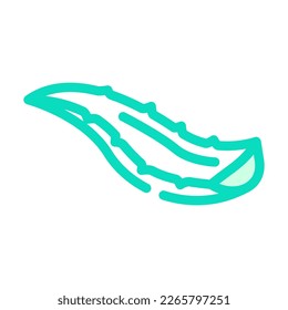 leaf aloe vera color icon vector. leaf aloe vera sign. isolated symbol illustration