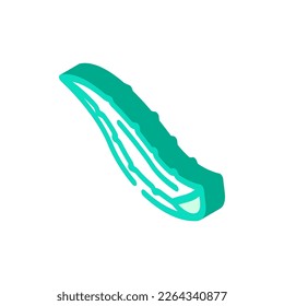leaf aloe vera isometric icon vector. leaf aloe vera sign. isolated symbol illustration