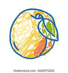 leaf apricot fruit doodle icon sketch vector. leaf apricot fruit sign. isolated symbol illustration