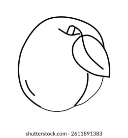 leaf apricot fruit line icon vector. leaf apricot fruit sign. isolated contour symbol black illustration
