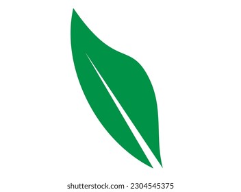 Leaf Area  How  Why Measuring Leaf Area is Vital to Plant  Leaf in Time  A Popular Introduction to Photosynthesis How To Draw A Palm Leaf – A Step by Step Guide  royalty free vector graphics . 