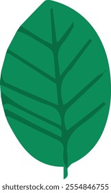 Leaf artwork vector file for illustrator