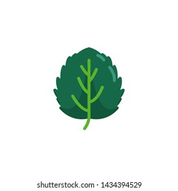 Leaf of aspen tree flat icon, vector sign, Aspen leaf colorful pictogram isolated on white. Symbol, logo illustration. Flat style design