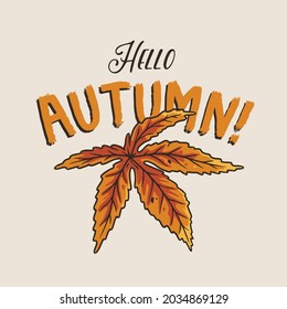 Hoja de otoño para el diseño de fondo otoñal. El otoño de octubre sale para la impresión de camisetas de temporada. Decoración ecológica con planta para feria o mercado