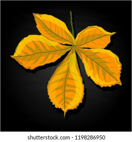 leaf autumn colorful vector illustration set isolated on black background