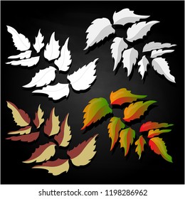 leaf autumn colorful vector illustration set isolated on black background