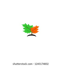 leaf autumn eco logo design vector illustration
