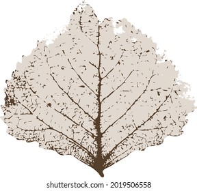 Leaf from autumn fall vector texture.