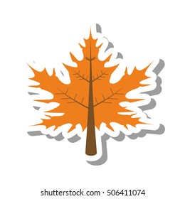 leaf autumn isolated icon vector illustration design