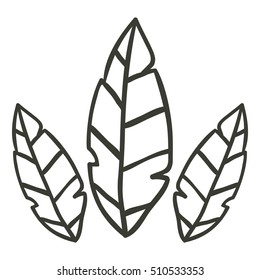 Leaf of autumn season design