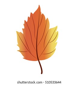 Leaf of autumn season design