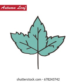 Leaf in the autumn season vector.