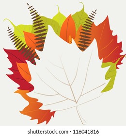 Leaf, autumn - vector background