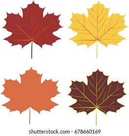 Leaf autumn vector illustration