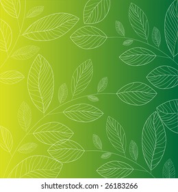 Leaf background