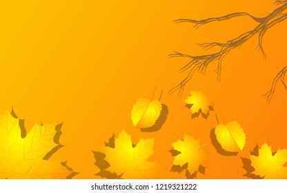 leaf background for each season 