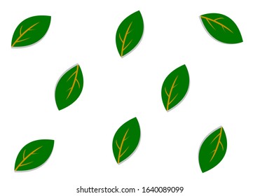 leaf background with green color.vector ilustration eps 10