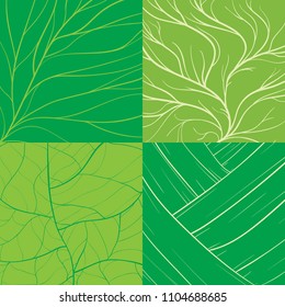 Leaf background with green simply leaf in vector illustration.