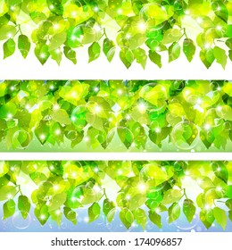 Leaf background soap bubble