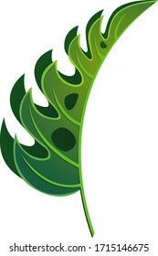 Leaf background vector isolated pattern for wallpaper green banana leaf tropical plant