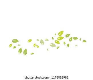 Leaf background vector template