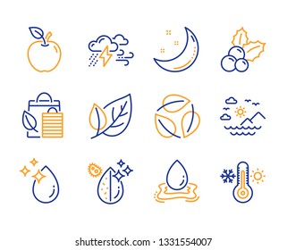 Leaf, Bad weather and Bio shopping icons simple set. Sea mountains, Christmas holly and Water drop signs. Apple, Water splash and Moon stars symbols. Leaves, Thermometer. Ecology, Clouds. Vector