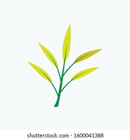 Leaf bamboo vector and leaf nature icon