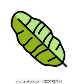leaf banana color icon vector. leaf banana sign. isolated symbol illustration