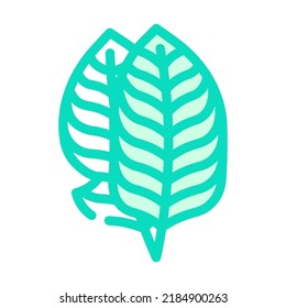 leaf banana plant color icon vector. leaf banana plant sign. isolated symbol illustration