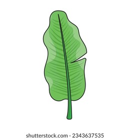 Leaf Banane Vektorsymbol.Color Vektorsymbol einzeln auf weißem Hintergrund Blatt Banane.