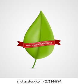 Leaf Banners and Labels with Red Ribbon. Nature Style.