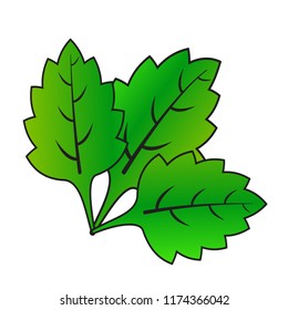 leaf beautiful vector design color leaf stock vector art.