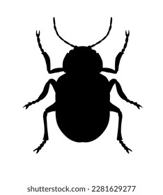  Leaf beetle, black symmetrical silhouette, vector, isolated on white background. The beetle can be seen from above.
