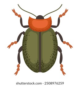 Leaf beetle, green bug. Colorful insect. Nature and biodiversity insect spece. Beetle vector flat illustration.