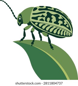 Leaf beetle perched on leaf tip, side profile, close-up, intricate wings, flat vector illustration