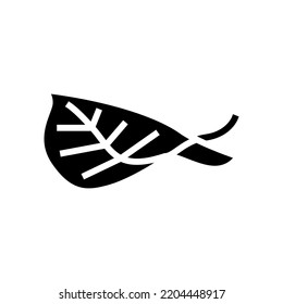 leaf birch autumn glyph icon vector. leaf birch autumn sign. isolated symbol illustration