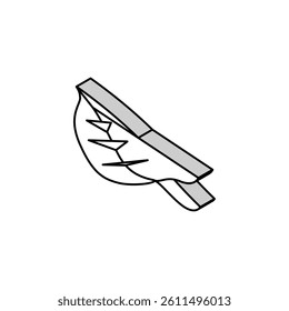 leaf birch autumn isometric icon vector. leaf birch autumn sign. isolated symbol illustration