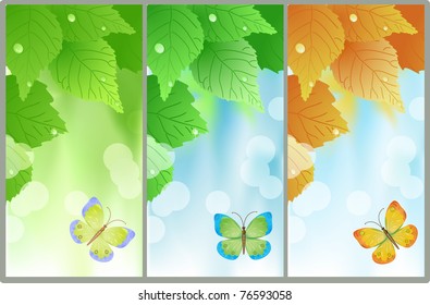 leaf birch background spring, summer, autumn,