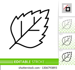 Leaf birch or poplar thin line icon. Nature banner, flat style. Botanical poster. Linear pictogram. Simple illustration, outline symbol. Vector sign isolated white. Editable stroke icons without fill