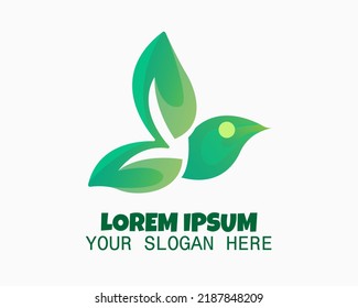 leaf bird logo design template. leaf and bird illustration vector