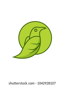 leaf bird logo template