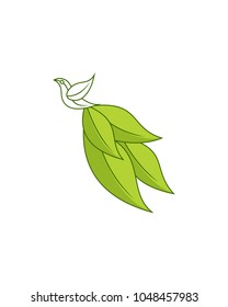 leaf bird logo template