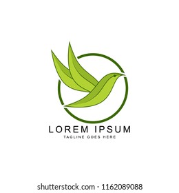 leaf bird logo template