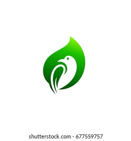 Leaf and Bird Logo Template